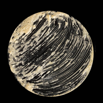 Omorovicza Sugar Scrub in a circular container with a textured black and brown surface