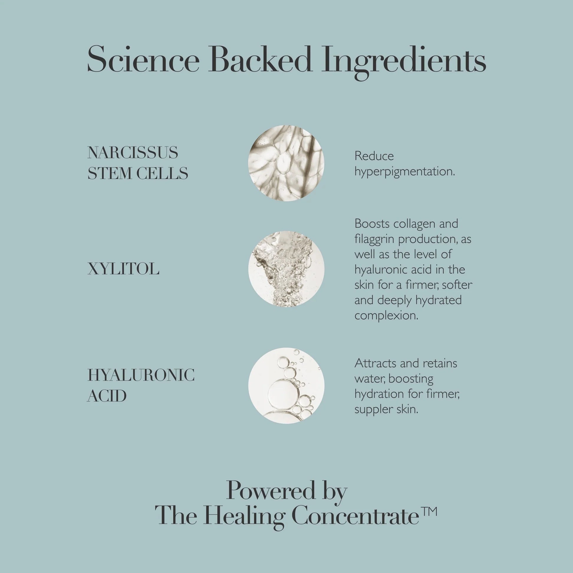Omorovicza Gel Moisturizer Ingredients including Hyaluronic Acid and Xylitol for Hydrated Skin