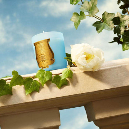 Versailles Candle | Garden in Spring - London Beauty