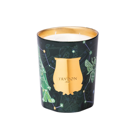 Fir Candle | Christmas Tree LIMITED EDITION