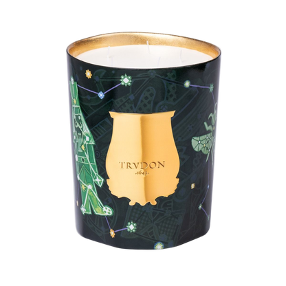 Fir Candle | Christmas Tree LIMITED EDITION