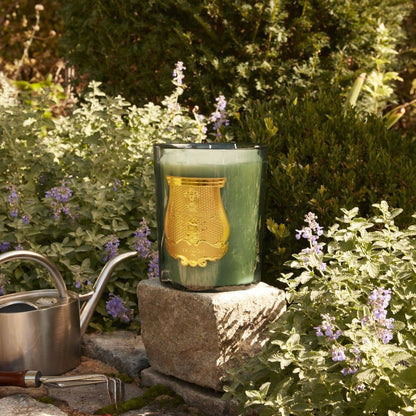 Figuerie Candle | Royal Fig