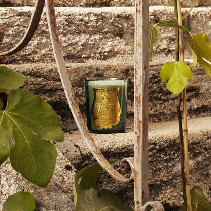 Figuerie Candle | Royal Fig