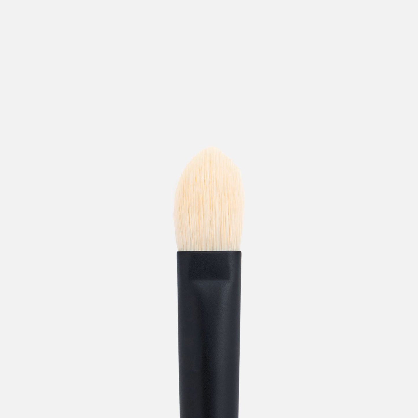 Eyeshadow l Brush